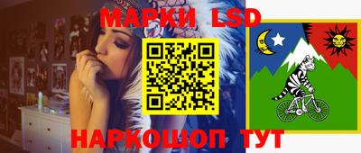 индика Бийск