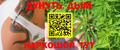 индика Бийск