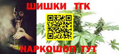 индика Бийск