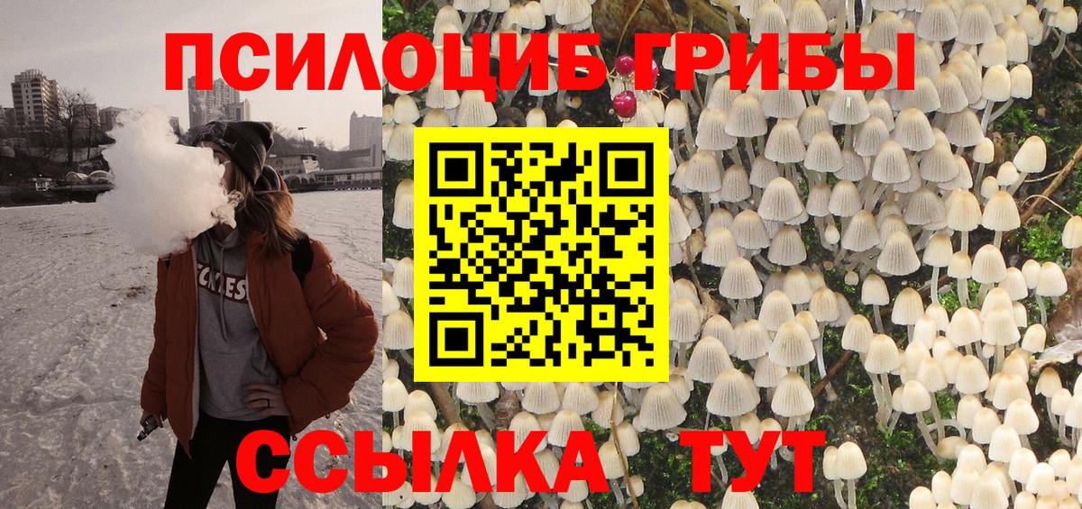 Псилоцибиновые грибы Psilocybe Златоуст